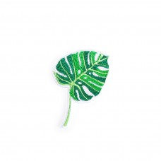 Monstera 4 x 3 inches Monstera 4 x 3 inches