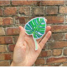 Monstera 4 x 3 inches Monstera 4 x 3 inches