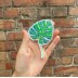 Monstera 4 x 3 inches